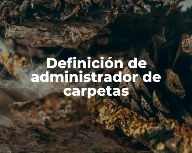 Definición de administrador de carpetas