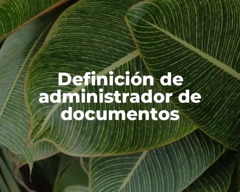Definición de administrador de documentos