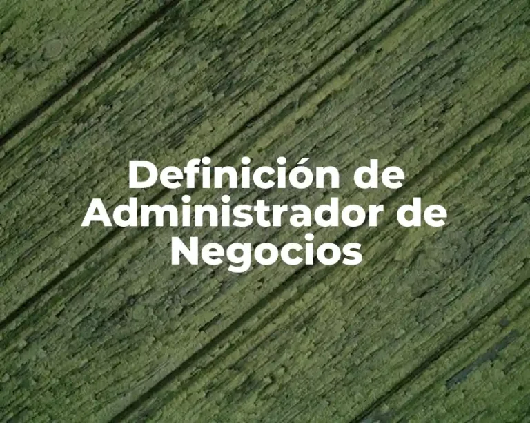 Definición de Administrador de Negocios