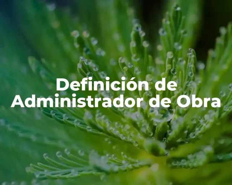 Definición de Administrador de Obra