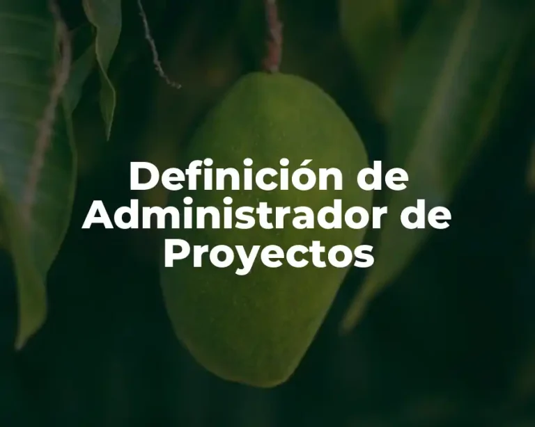 Definición de Administrador de Proyectos