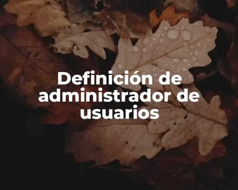 Definición de administrador de usuarios