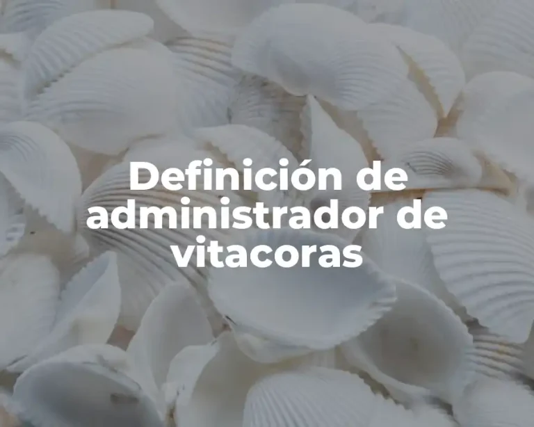 Definición de administrador de vitacoras