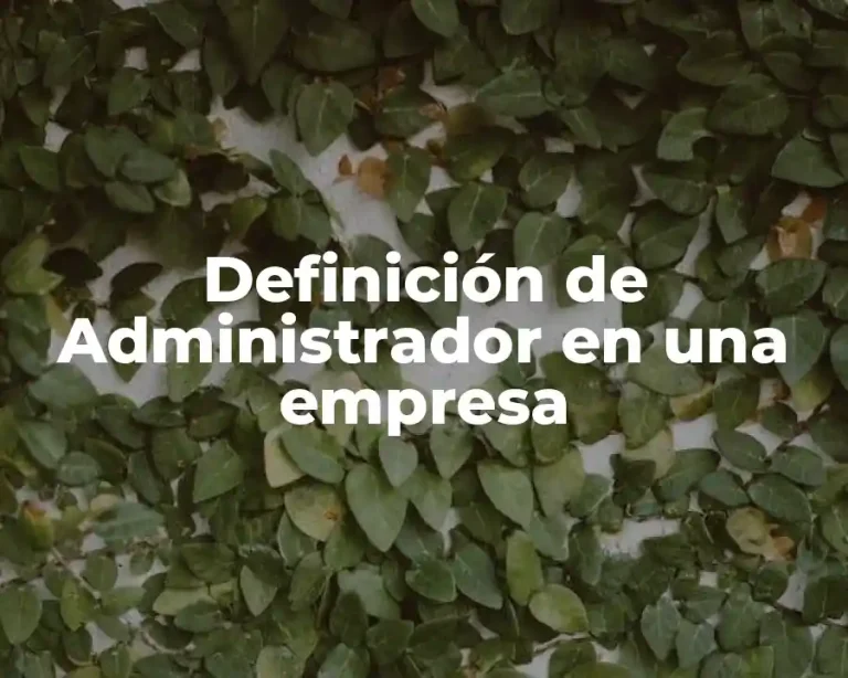 Definición de Administrador en una empresa