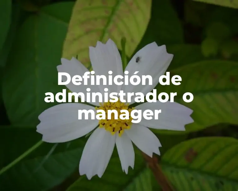 Definición de administrador o manager