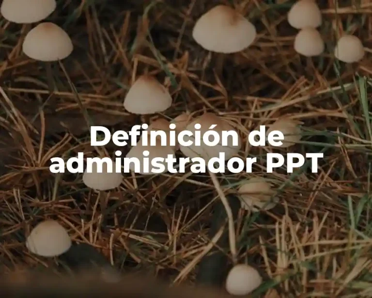 Definición de administrador PPT