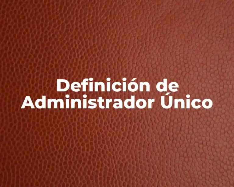Definición de Administrador Único