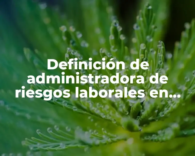 Definición de administradora de riesgos laborales en Colombia