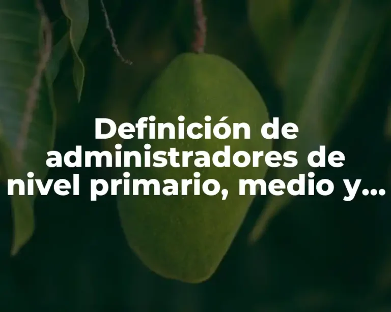 Definición de administradores de nivel primario, medio y superiores