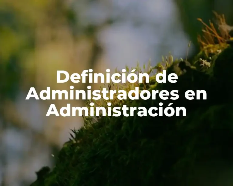 Definición de Administradores en Administración