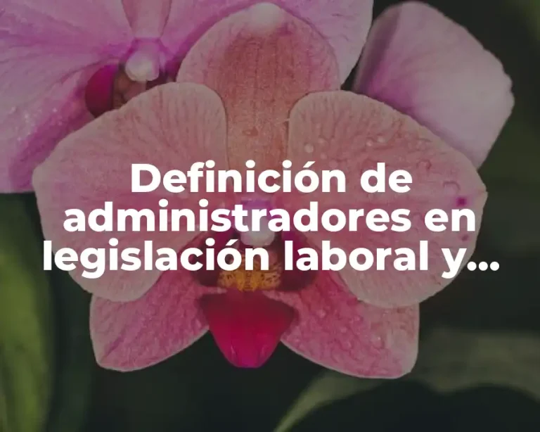 Definición de administradores en legislación laboral y mercantil