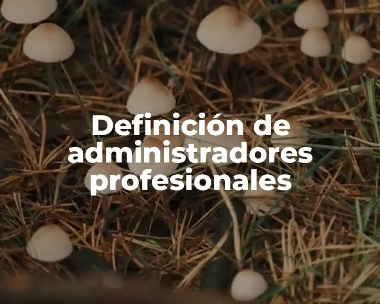 Definición de administradores profesionales
