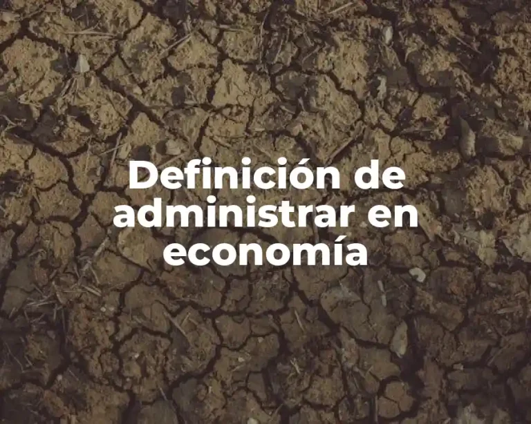 Definición de administrar en economía