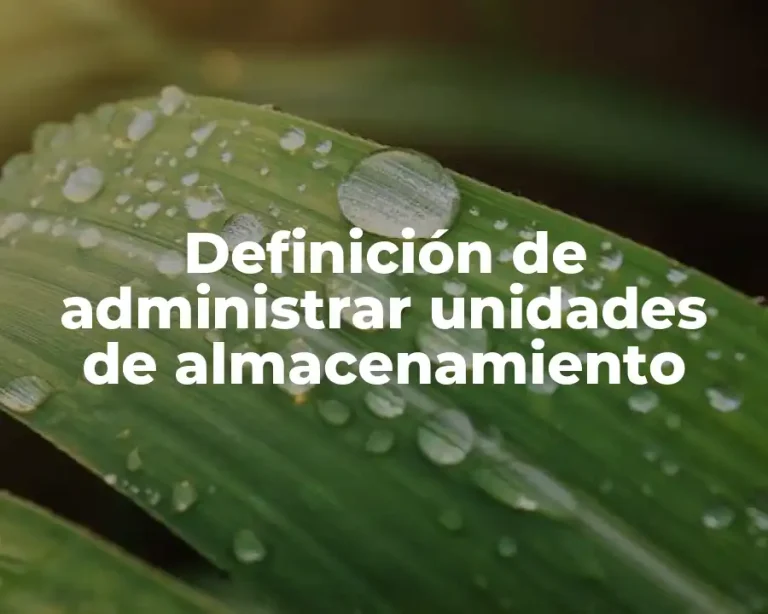 Definición de administrar unidades de almacenamiento