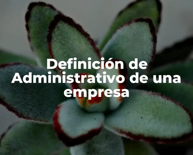 Definición de Administrativo de una empresa