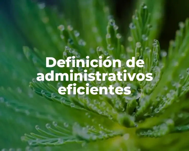 Definición de administrativos eficientes