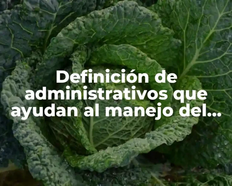 Definición de administrativos que ayudan al manejo del tiempo