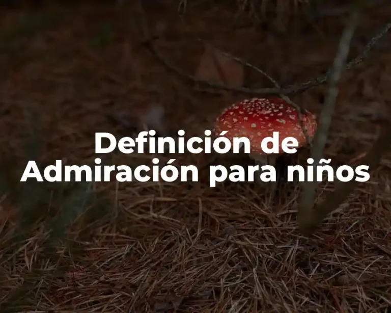 Definición de Admiración para niños