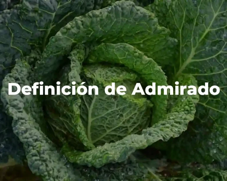 Definición de Admirado