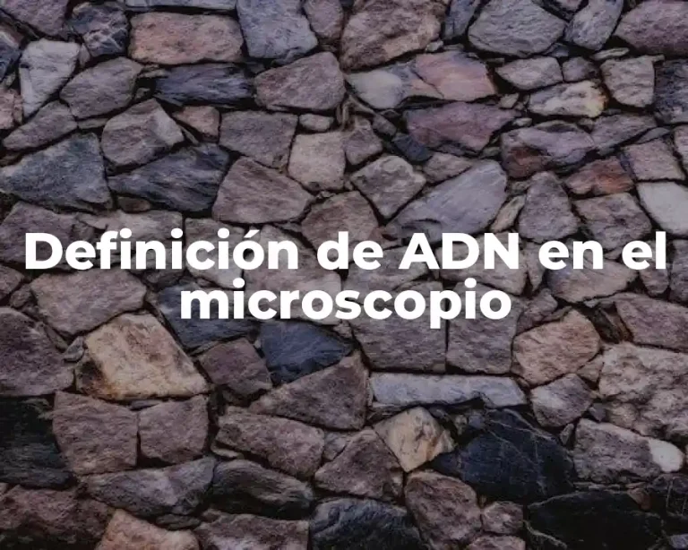 Definición de ADN en el microscopio