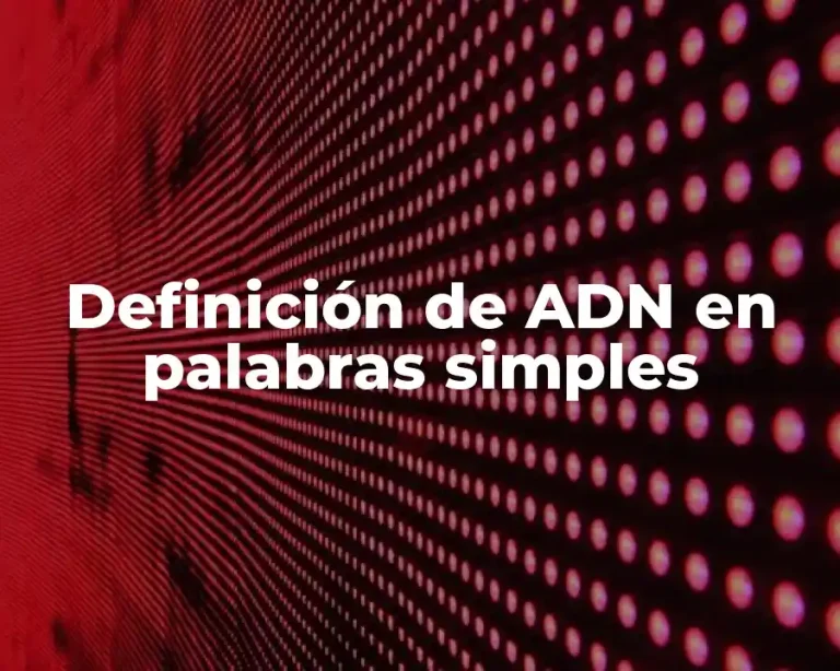 Definición de ADN en palabras simples