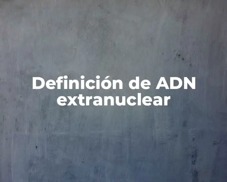 Definición de ADN extranuclear