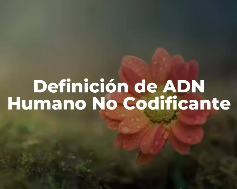 Definición de ADN Humano No Codificante
