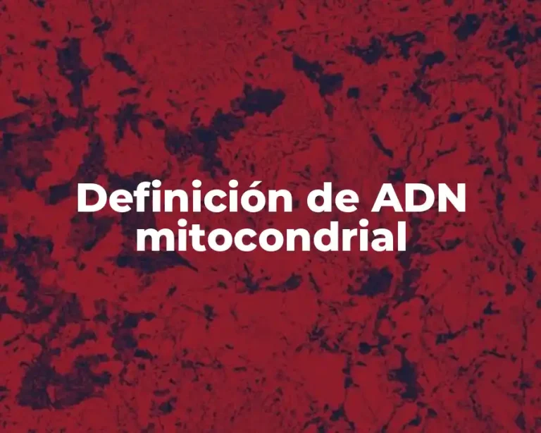 Definición de ADN mitocondrial