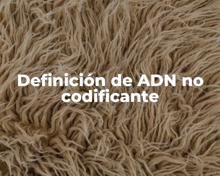 Definición de ADN no codificante