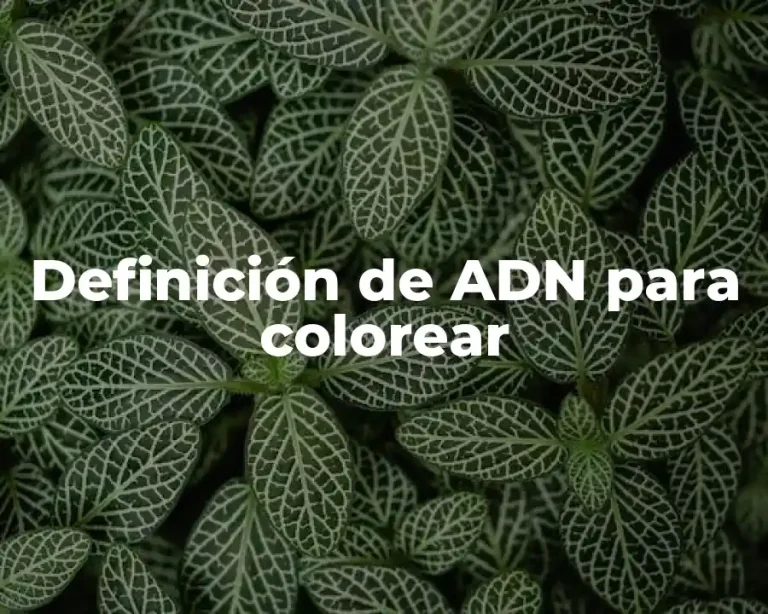 Definición de ADN para colorear