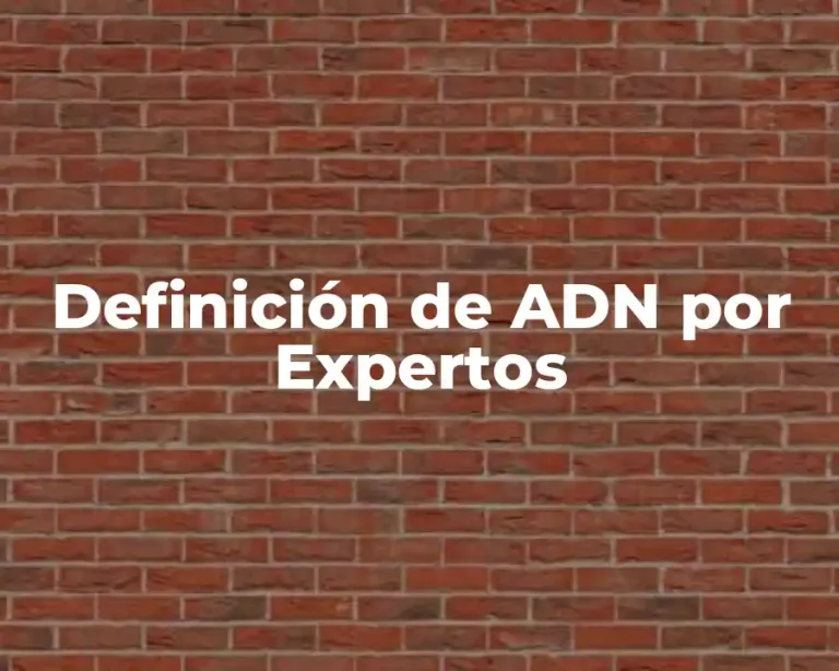 Definición de ADN por Expertos