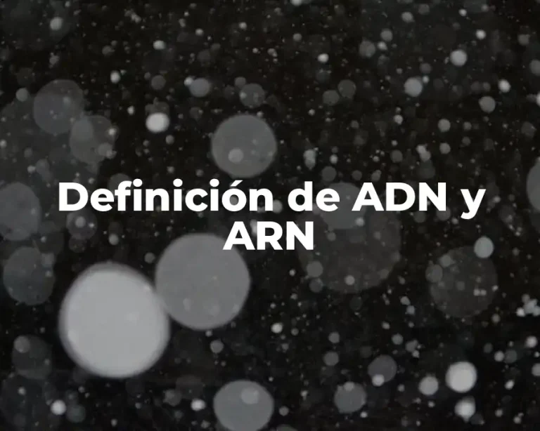 Definición de ADN y ARN