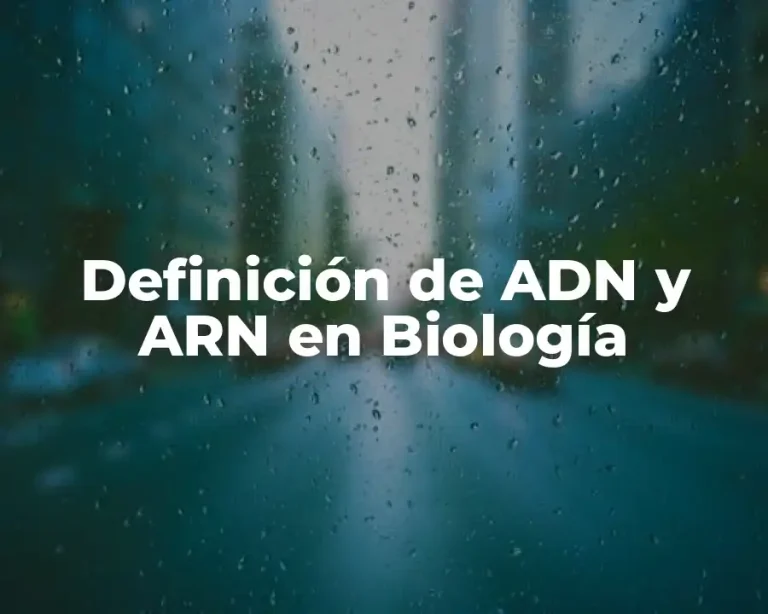 Definición de ADN y ARN en Biología