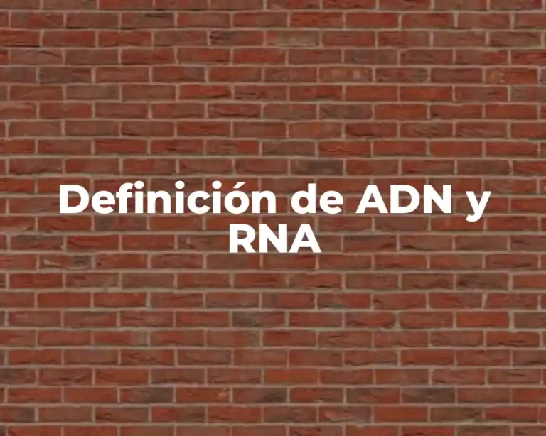 Definición de ADN y RNA