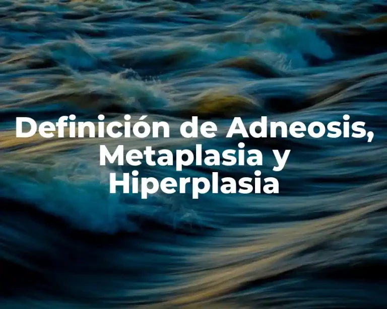 Definición de Adneosis, Metaplasia y Hiperplasia