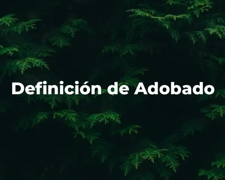 Definición de Adobado