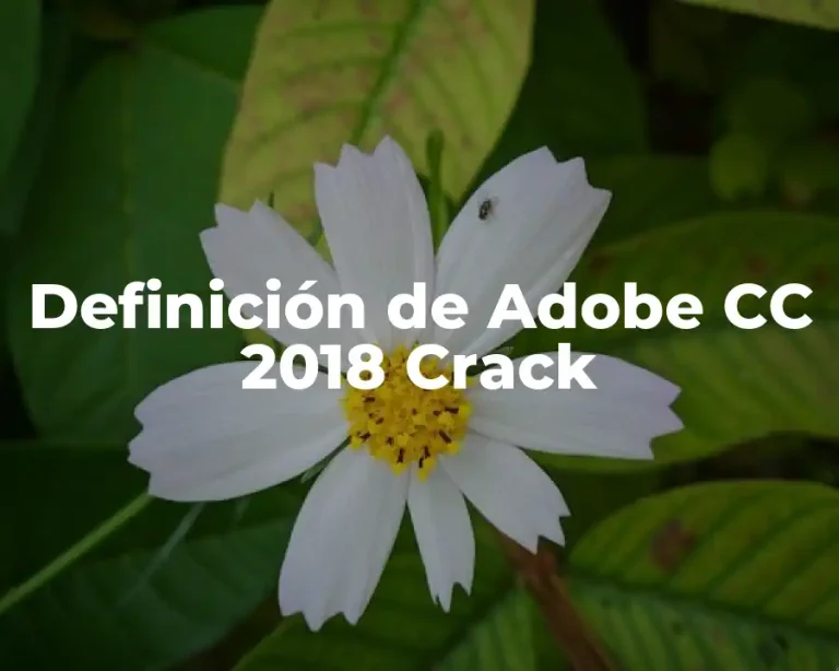 Definición de Adobe CC 2018 Crack