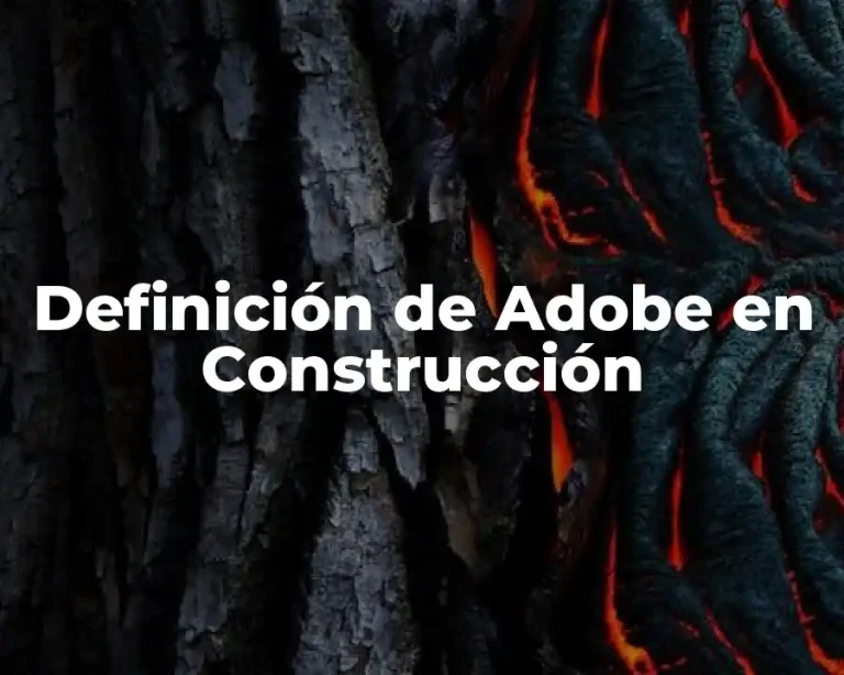 Definición de Adobe en Construcción