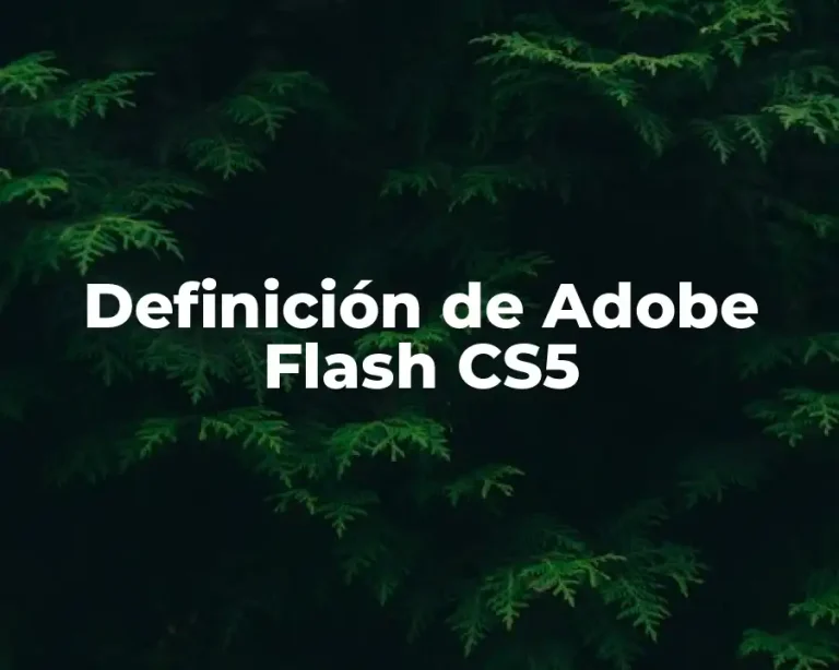 Definición de Adobe Flash CS5
