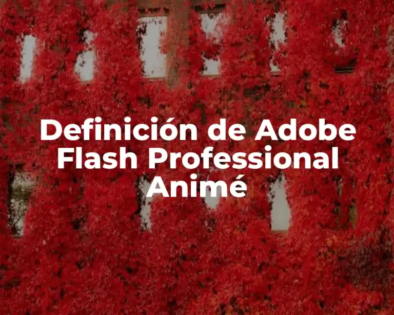 Definición de Adobe Flash Professional Animé