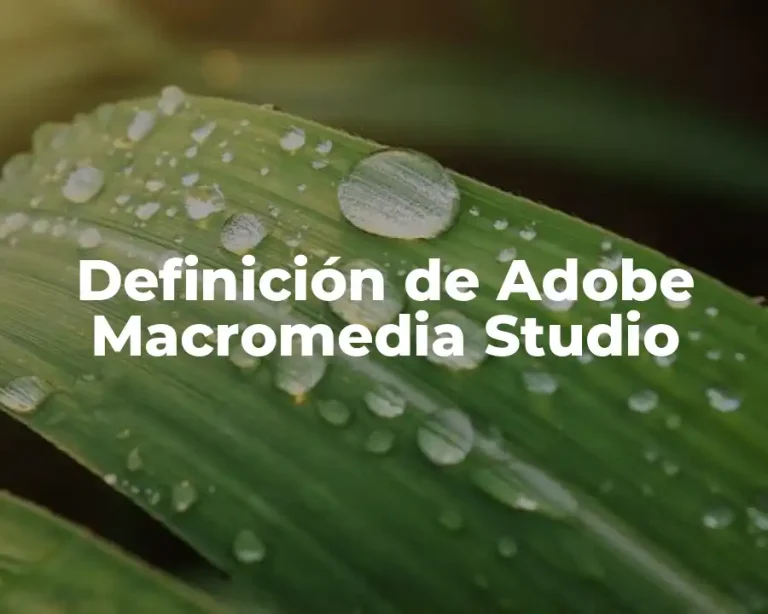 Definición de Adobe Macromedia Studio