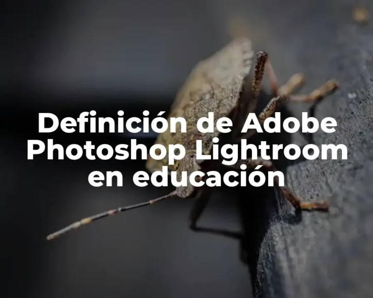 Definición de Adobe Photoshop Lightroom en educación