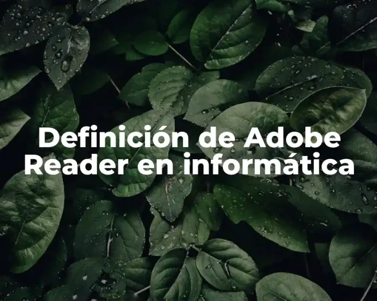 Definición de Adobe Reader en informática