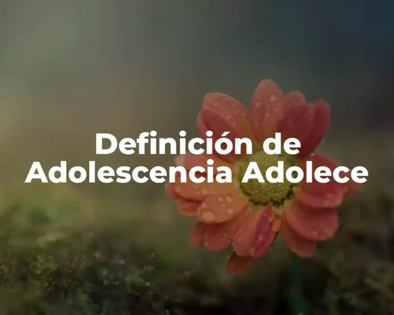 Definición de Adolescencia Adolece