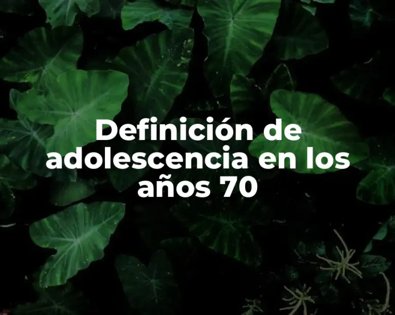 Definición de adolescencia en los años 70