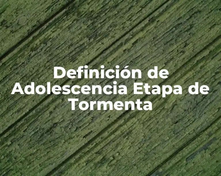 Definición de Adolescencia Etapa de Tormenta
