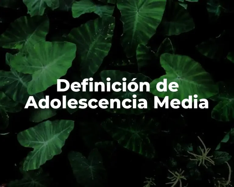 Definición de Adolescencia Media