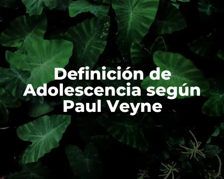 Definición de Adolescencia según Paul Veyne