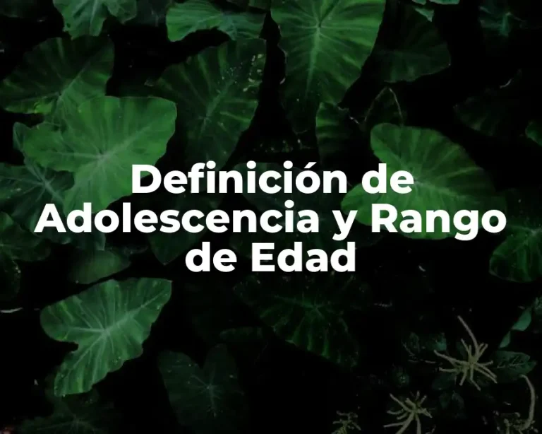 Definición de Adolescencia y Rango de Edad