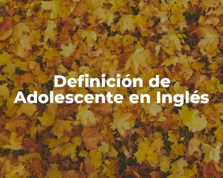 Definición de Adolescente en Inglés